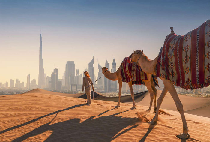 Dubai Vendors